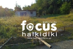 Χαλκιδική: Σοκάρει ο 17χρονος που δέχθηκε τα σκάγια του ηλικιωμένου- "Βλέπω το κεφάλι μου γεμάτο αίματα"