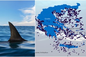 Το 2024 το πιο ζεστό καλοκαίρι για τις ελληνικές θάλασσες τα τελευταία 40 χρόνια