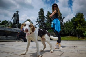 "Φταίω και πρέπει να καταδικαστώ": Οσα είπε στο δικαστήριο ο "σφαγέας" των ζώων στον Βόλο - εικόνα 2