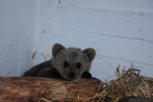 Καιρός: Ηλιοφάνεια, μικρή άνοδος της θερμοκρασίας και αφρικανική σκόνη την Τετάρτη - εικόνα 2