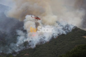 Πεδίον του Άρεως: Νέα απόπειρα εμπρησμού - Συνελήφθη Αφγανός