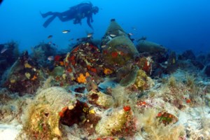 Ανησυχία για κορεάτικο κουνούπι ανθεκτικό στο κρύο - Θα μπορούσε να "αποικίσει" την Ελλάδα - εικόνα 2