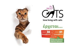 Τα πιο συνηθισμένα λάθη όταν παίζουμε με τη γάτα μας: Πώς να αποφύγετε "παρεξηγήσεις" - εικόνα 2