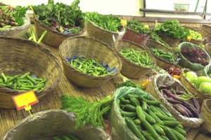 "Καμπανάκι" από ECDC: Αύξηση των κρουσμάτων αλλαντίασης - Συνδέονται με γαστρικό μπότοξ σε κλινικές στην Τουρκία - εικόνα 2