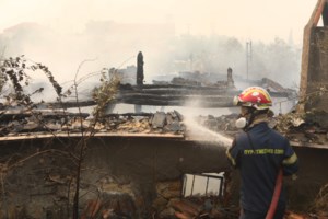 Επεκτείνεται η πλατφόρμα arogi.gov.gr - Αιτήσεις και από τους πυρόπληκτους του Αυγούστου - εικόνα 2