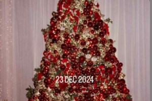 Εριέττα Κούρκουλου Λάτση: Η συγκινητική ανάρτηση για τον πατέρα της - "Χρόνια πολλά μπαμπάκα" - εικόνα 2