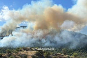 Αναβλήθηκε η δίκη του 87χρονου στον Άγιο Στέφανο  που κατηγορείται για εμπρησμό