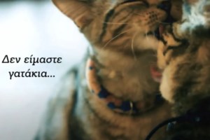 "Πόλεμος" για την αποχή ΣΥΡΙΖΑ από τη Βουλή: Το "σουρωτήρι μαφιόζων", η κοινοβουλευτική εκτροπή και το "χέβι μέταλ"