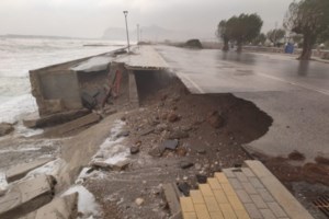 Λαμία: Δέντρο έπεσε ξαφνικά στη μέση του δρόμου - Από θαύμα γλίτωσαν οι περαστικοί [βίντεο]