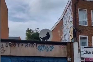 Tο "γκραν φινάλε" της "απίστευτης σειράς προς τιμή των ζώων" του Bansky στους τοίχους του Λονδίνου