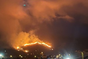 Φωτιά στην Εύβοια: Καίγονται καρυδιές και πλατάνια κοντά στο Αλιβέρι [εικόνες]