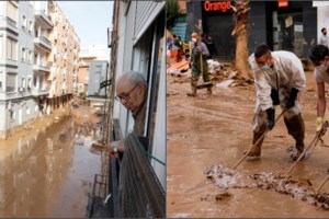 Συναγερμός στο Λόφο Φιλοπάππου: Πάνω από 800 πεύκα έχουν καταστραφεί - Εικόνες εγκατάλειψης στον ιστορικό χώρο - εικόνα 2