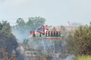 Δύο προσαγωγές για τη φωτιά στο Λιτόχωρο: Εκτελούσαν αγροτικές εργασίες