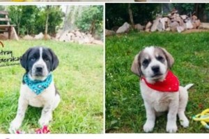 Ο Βάις βρέθηκε από περαστικό στον Ασπρόπυργο: Είναι ένας κύριος όταν πας μαζί του για καφέ