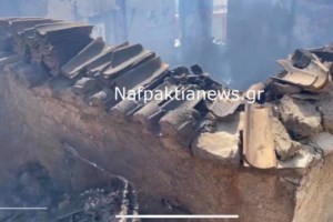 Πάνω από 8 χιλιόμετρα το μέτωπο στη Φωκίδα - Εκκένωση και στον Τολοφώνα