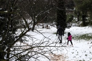 Στα λευκά η Ξάνθη: Πυκνή χιονόπτωση από το πρωί [εικόνες] - εικόνα 3
