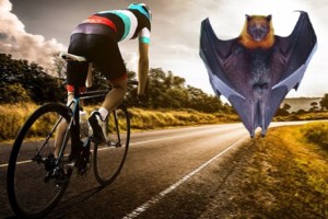 Αγγελοχώρι Θεσσαλονίκης: Βραδιά γνωριμίας με τις...νυχτερίδες