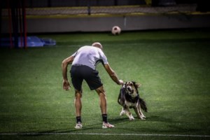 Υποθερμία σε κατοικίδια: Τα συμπτώματα που πρέπει να αναγνωρίσετε και πώς να αποφύγετε προβλήματα υγείας