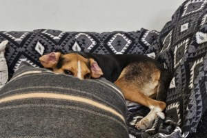 Η ζωή με τον Σέλντον  θα είναι κάπως έτσι... Θα του ψιθυρίζεις ότι τον αγαπάς και θα σε κοιτά βαθιά στα μάτια - εικόνα 4