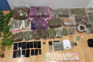 Χασισοφυτεία "μαμούθ" με 14.000 δενδρύλλια στα Γρεβενά [Εικόνες-Βίντεο]