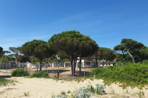 Νομοσχέδιο για τίτλους σε καταπατητές: Oι διαχρονικοί έξυπνοι και τα μεγάλα κορόιδα - εικόνα 2