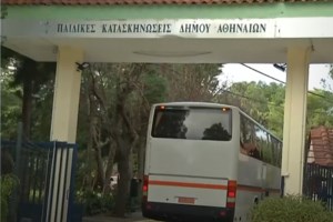 Κυκλάδες: Συνεχίζει να σείεται η γη - Νέοι σεισμοί πάνω από 4 Ρίχτερ σε μία ώρα - Λέκκας: Αποκλείουμε "ξύπνημα" του ηφαιστείου - εικόνα 4