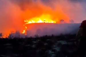 Ολονύκτια μάχη με τη φωτιά στην Εύβοια: Νέο μέτωπο έξω από τον Κρεμαστό - Τραυματίστηκε πυροσβέστης - εικόνα 5