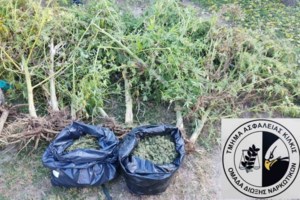 Πάτρα: Κεντρικό ψητοπωλείο έκανε και ντελίβερι... ναρκωτικών στο σπίτι - εικόνα 2