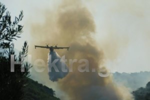 Υπό μερικό έλεγχο τέθηκε η φωτιά στην Νεμέα
