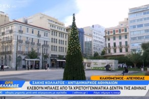 Θεσσαλονίκη: Αγριογούρουνα έκοβαν... βόλτες σε Καλαμαριά και Χαριλάου - Έψαχναν τροφή μέσα στο κρύο [βίντεο]