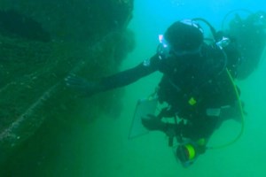 Εκπληκτική ανακάλυψη: Τι είναι "οι Τριλοβίτες της Πομπηίας" που βρήκαν οι επιστήμονες - Γιατί είναι τόσο σημαντικοί - εικόνα 2