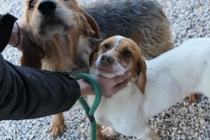 Μπέττυ: Την κοιτάς και αντιλαμβάνεσαι πως δεν είχε ποτέ στη ζωή ούτε μισή ευκαιρία. Ποτέ και από κανέναν - εικόνα 5