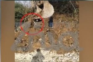 ΓΣΕΕ: Απεργιακή κινητοποίηση την ημέρα και ώρα που θα υποδείξει ο σύλλογος των συγγενών των θυμάτων των Τεμπών