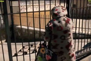 Βοιωτία: "Η γιαγιά ήταν στο πάτωμα, μέσα στις ακαθαρσίες, της είχε πετάξει κάτι μπισκότα..." - Συγκλονίζουν οι μαρτυρίες - εικόνα 3