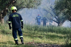Φωτιά σε δασική έκταση ανάμεσα σε Μαρκόπουλο και Κάλαμο