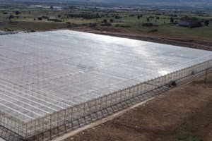 Οταν ο 60άρης Σπύρος Θεοδωρόπουλος "τρολάρει" τον εαυτό του για την τεχνητή νοημοσύνη - Το παράδειγμα με τα κρουασάν - εικόνα 2