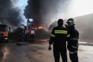 Εύβοια: Φωτιά στον Άγιο - Επιχειρούν επίγειες και εναέριες δυνάμεις - Ισχυροί άνεμοι πνέουν στην περιοχή