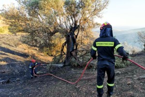Τρεις ανήλικοι που πετούσαν κροτίδες, προκάλεσαν τη φωτιά στο άλσος Βεΐκου στο Γαλάτσι - εικόνα 7