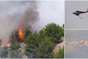 Φωτιά στη Φθιώτιδα: Πρόλαβαν την πυρκαγιά που απειλούσε πευκόφυτη περιοχή στη Μαλεσίνα