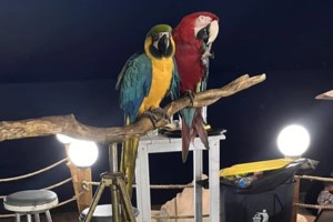 MyCoast: "Βροχή" οι καταγγελίες για αυθαιρεσίες στις παραλίες - Αλληλοκαρφώνονται οι επιχειρήσεις [βίντεο] - εικόνα 2