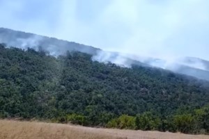 Κοζάνη: Καλύτερη η εικόνα της φωτιάς στα Λιβερά