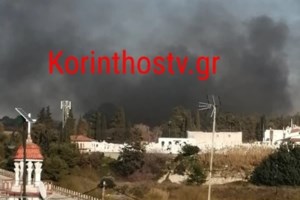 Θεσσαλονίκη: Καλλιεργούσε κάνναβη πίσω από… καθρέφτη δωματίου! [Βίντεο]