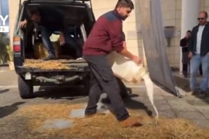 Το μεσημέρι της Τρίτης (13/2) η συνάντηση του Μητσοτάκη με τους αγρότες- Ποιοί θα κάτσουν στο τραπέζι - εικόνα 3