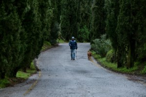 Οι τρεις κίνδυνοι του φθινοπώρου για τα σκυλιά: Τι να προσέξουμε