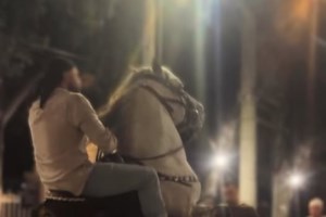 Απάνθρωπη εικόνα στη Μύκονο: Βασανισμένο, παστουρωμένο γαϊδουράκι κλαίει από τον πόνο - Βίντεο - εικόνα 2