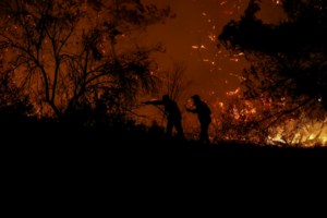 Φωκίδα: Υπό μερικό έλεγχο η φωτιά στη Βουνιχώρα - εικόνα 3