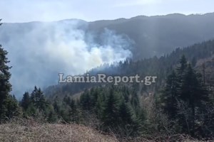 Σε εξέλιξη η φωτιά στην Αχαΐα: Επιχειρούν δύο Canadair στο Κυπαρίσσι - Καλύτερη εικόνα στη Βελά Αιγιάλειας