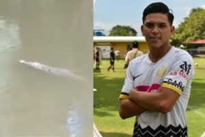 Θηλυκός κροκοδειλάκιας: Έριξε μπουνιά σε κροκόδειλο, έσωσε τη δίδυμη αδελφή της και παρασημοφορήθηκε από τον Κάρολο - εικόνα 4