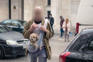 Βιασμός: Επτά καταγγελίες -φωτιά για τον 3ο ηθοποιό που "ξεψαχνίζει" ο εισαγγελέας - Ανήλικα τα δύο θύματα - εικόνα 2