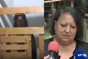 "Κωσταλέξι" στην Καλαμάτα: Η 29χρονη "δεν είναι όλες τις ώρες κλεισμένη στο ξύλινο κλουβί"